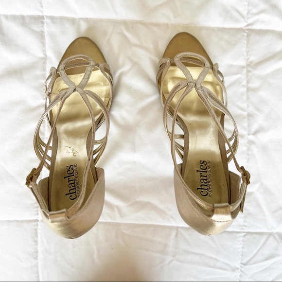 Charles David Platform Sandals - Picture 4 of 12